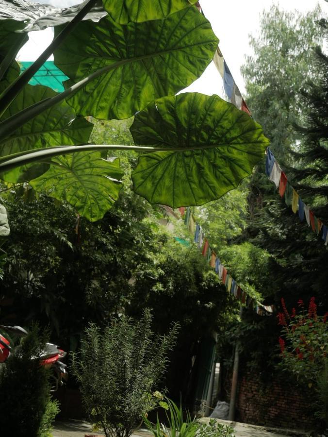 Nirvana Green Peace Home Kathmandu Exterior photo